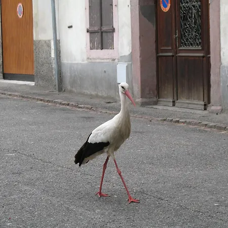 Le Bretzel アパート